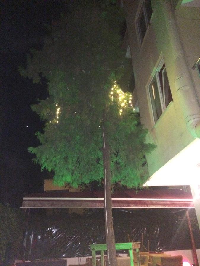 Alanya Demir Hotel Exteriör bild